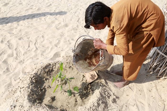Ein Junge gießt eine Pflanze, die auf sandigem Boden wächst. (Quelle: Christine Idems)