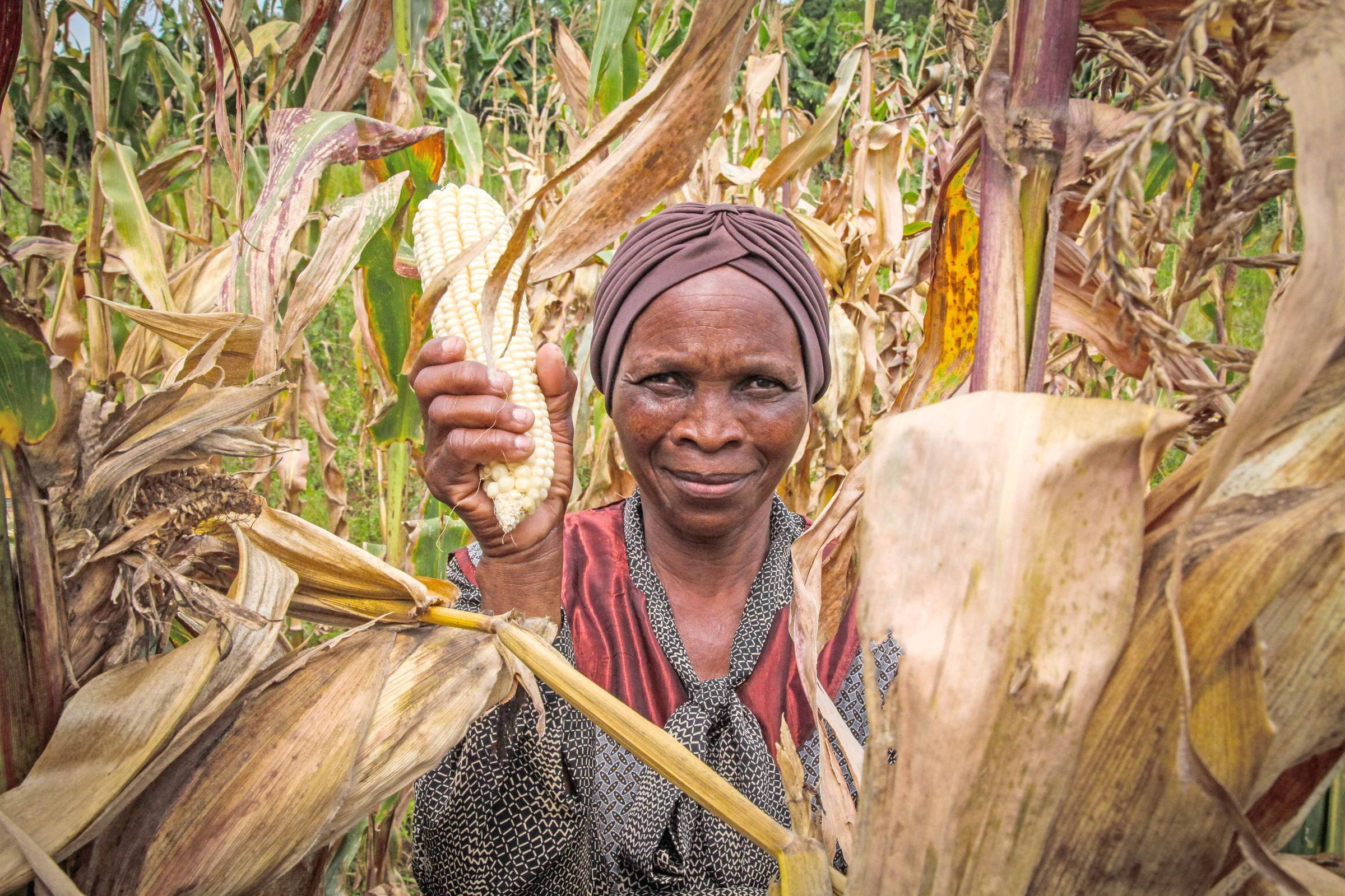 Reportage: "Eswatini: Eine Frau startet erfolgreich durch" Foto einer Frau im Maisfeld (Quelle: Ralf Krämer, Kindernothilfe)