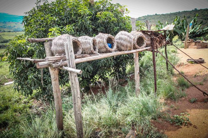 Reportage: "Eswatini: Eine Frau startet erfolgreich durch" Foto eines Hühnerstalls aus Körben (Quelle: Ralf Krämer, Kindernothilfe) Reportage: "Eswatini: Eine Frau startet erfolgreich durch" Foto eines Hühnerstalls aus Körben (Quelle: Ralf Krämer, Kindernothilfe)