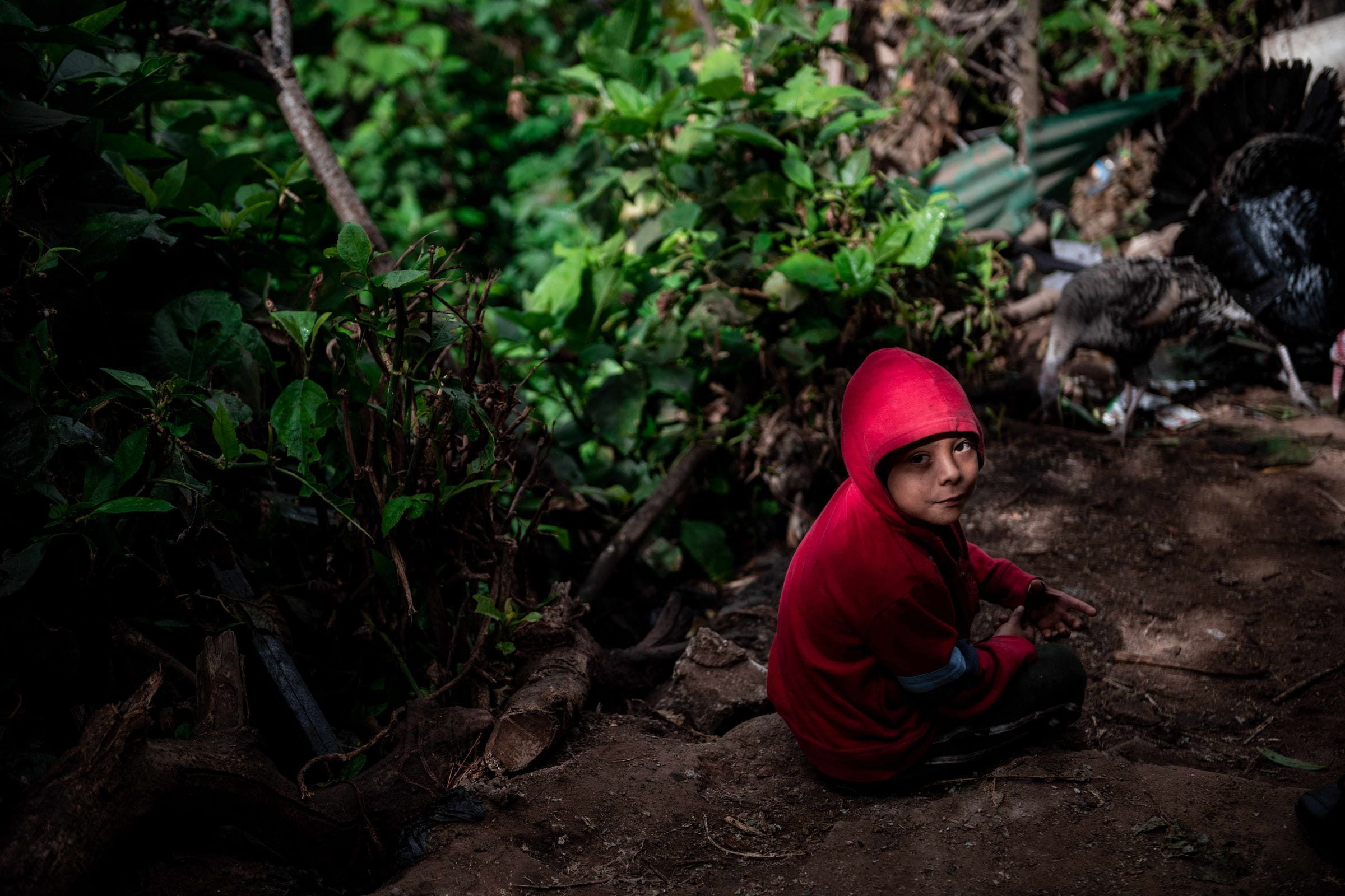 Reportage Honduras: Der gefährliche Weg nach Norden; Foto: Mädchen sitzend, vor Gebüsch, in Guatemala (Quelle: Fabian Strauch / Kindernothilfe)