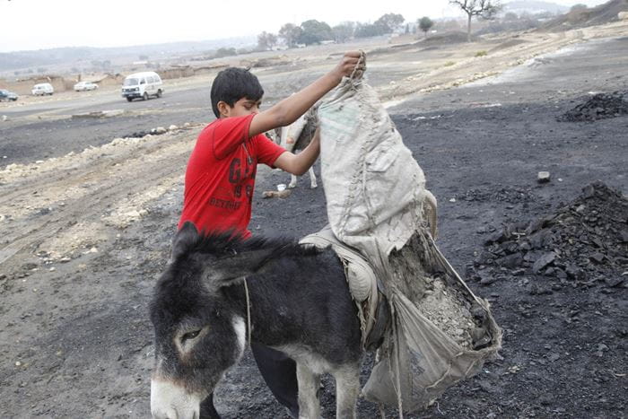 Reportage Pakistan: Das Leben riskieren, um zu überleben; Foto: Kind und Esel im Freien (Quelle: Christian Herrmanny / Kindernothilfe)