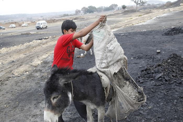 Reportage Pakistan: Das Leben riskieren, um zu überleben; Foto: Kind und Esel im Freien (Quelle: Christian Herrmanny / Kindernothilfe) Reportage Pakistan: Das Leben riskieren, um zu überleben; Foto: Kind und Esel im Freien (Quelle: Christian Herrmanny / Kindernothilfe)