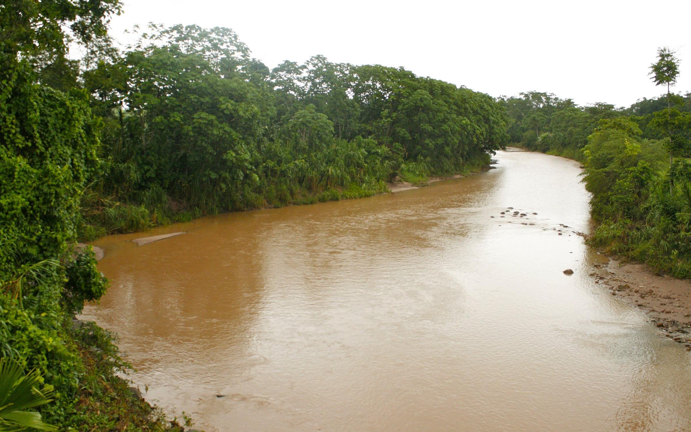 Reportage "Kinderhandel in Peru: Gemeinsam gegen Trata"; Foto: Fluss und Vegetation, Region Alto-Amazonas (Quelle: Jürgen Schübelin / Kindernothilfe)