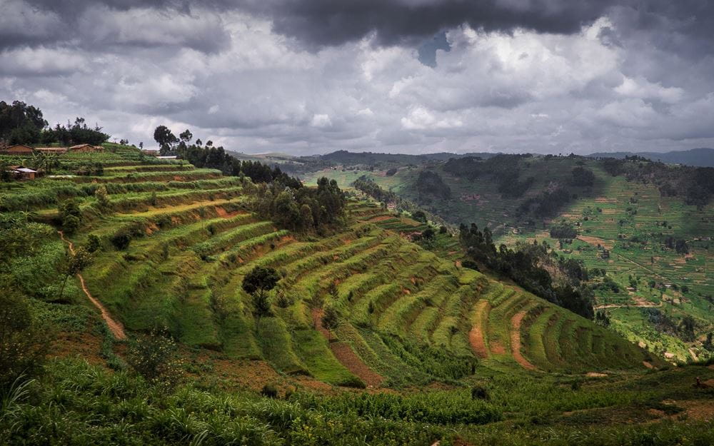 Reportage Ruanda: Aus Feinden wurden Freunde; Foto: Landschaft in Nordruanda (Quelle: Jakob Studnar / Kindernothilfe)
