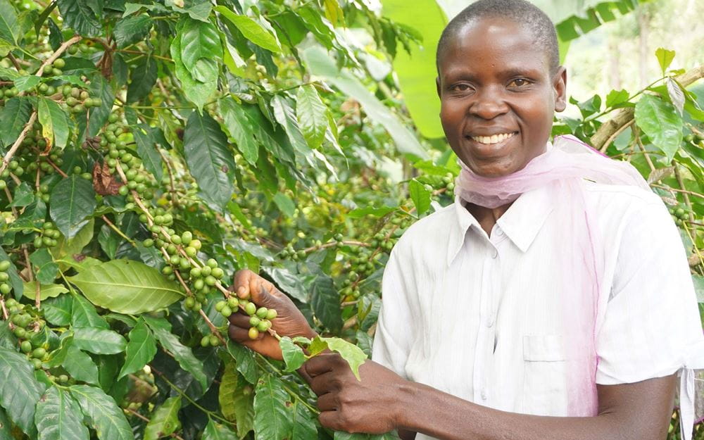 Reportage Uganda: Aufschwung am Äquator; Foto: Frau steht neben Kaffeesträuchern und lächelt in die Kamera (Quelle: Ludwig Grunewald / Kindernothilfe)
