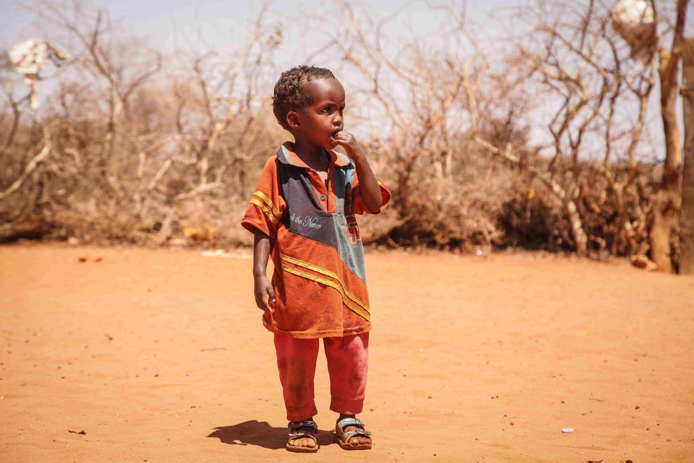 Kind in einer verdorrten Landschaft in Somalia (Quelle: Angelika Böhling) Kind in einer verdorrten Landschaft in Somalia (Quelle: Angelika Böhling)