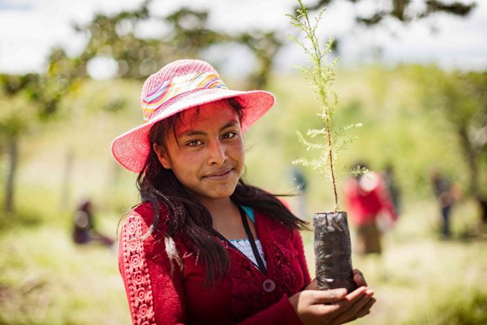 Ein Mädchen aus Guatemala mit Sonnenhut hält eine Pflanze in der Hand, die sie einpflanzen möchte. (Quelle: Jakob Studnar)