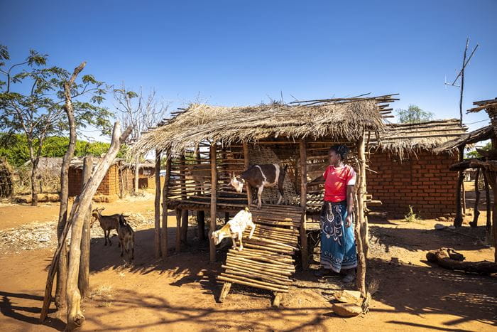 Eine Frau aus Sambia steht neben ihren selbstgebauten Ziegenstall. (Quelle: Christian O. Bruch)