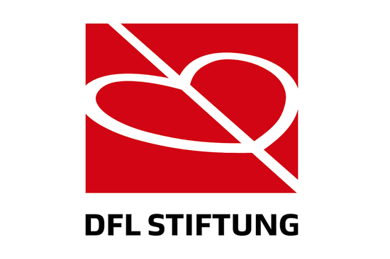 Logo DFL Stiftung