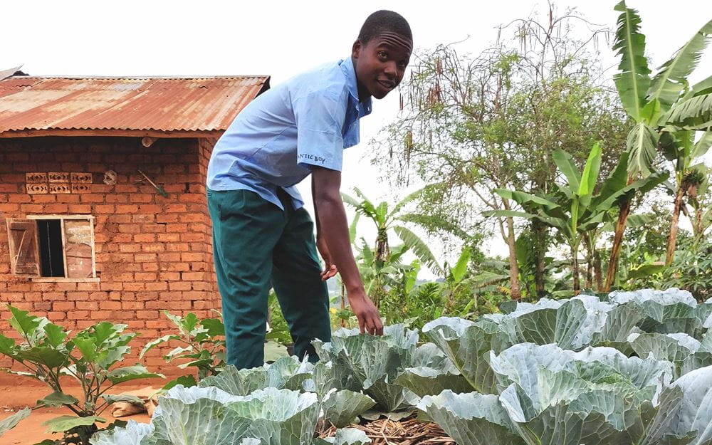 Reportage "Uganda: Farmschulen"; Foto:  Farmschüler John begutachtet seine Pflanzen (Quelle: Katharina Drzsiga / Kindernothilfe)