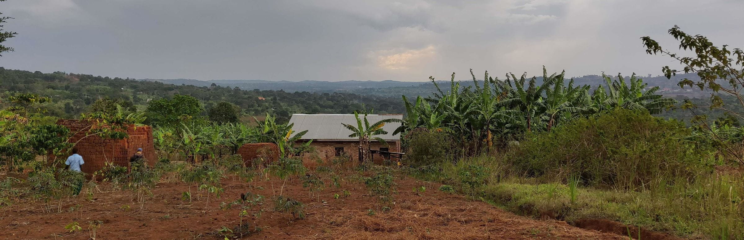 Reportage "Uganda: Farmschulen"; Foto:  Gebäude, dahinter Blick auf die Landschaft, im Vordergrund landwirtschaftlich genutzte Fläche  (Quelle: Katharina Drzsiga / Kindernothilfe) Reportage "Uganda: Farmschulen"; Foto:  Gebäude, dahinter Blick auf die Landschaft, im Vordergrund landwirtschaftlich genutzte Fläche  (Quelle: Katharina Drzsiga / Kindernothilfe)