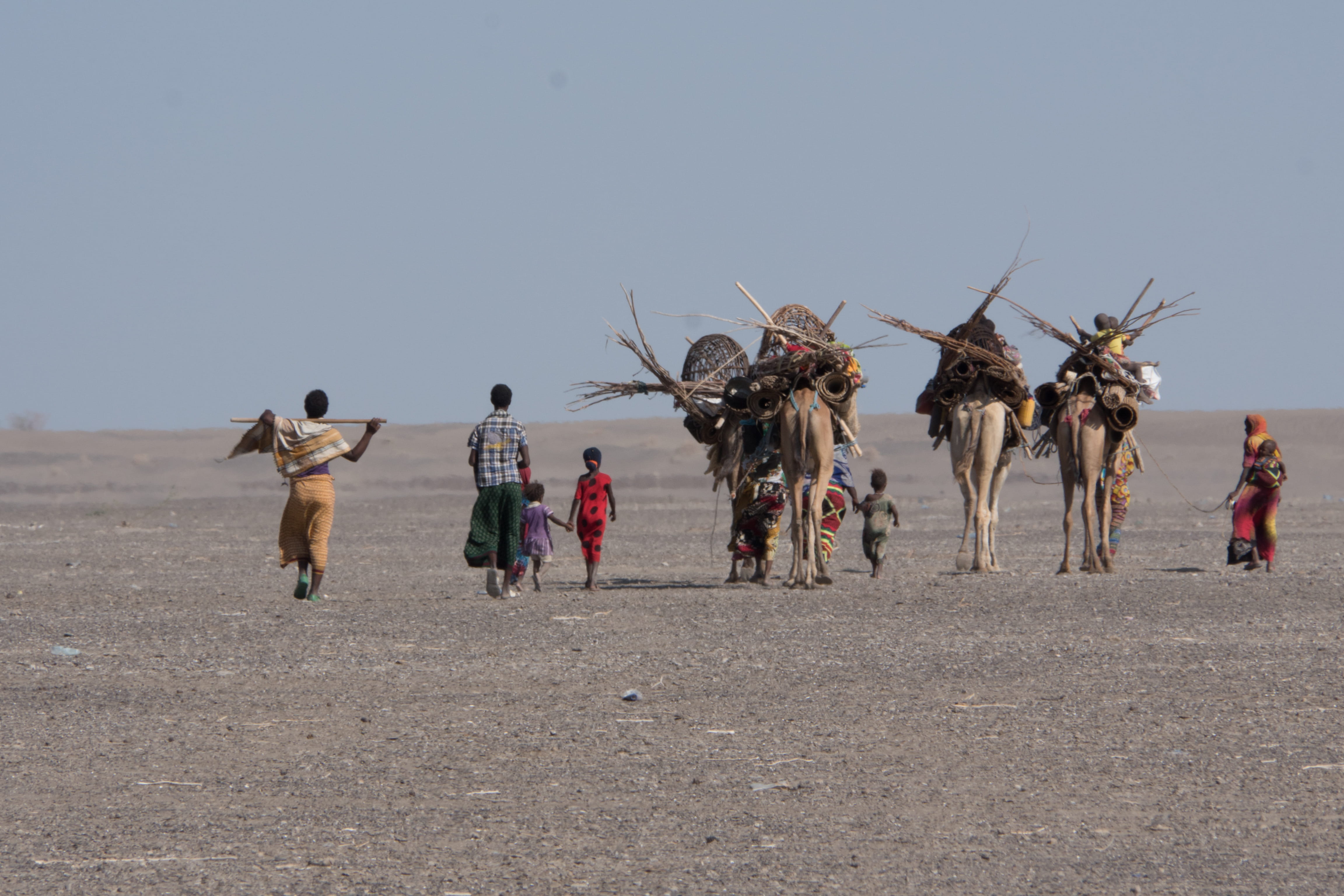 Mehrere Kamele tragen die mobilen Schulen auf ihrem Rücken. (Quelle: Roland Brockmann)