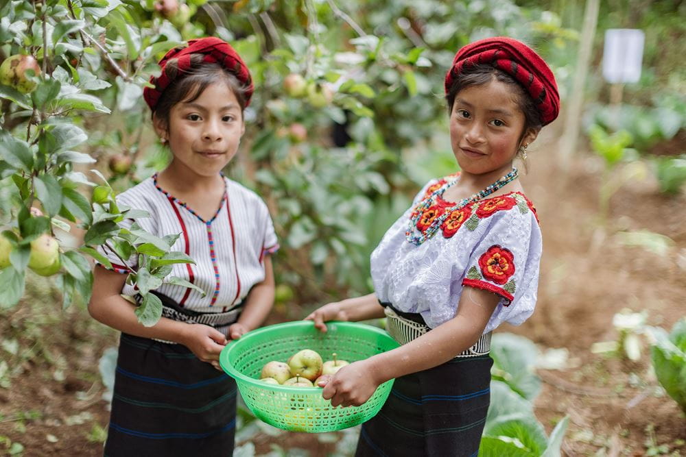 Zwei Mädchen in traditioneller Kleidung aus Guatemala halten einen Apfelkorb im Arm. (Quelle: Jakob Studnar) Zwei Mädchen in traditioneller Kleidung aus Guatemala halten einen Apfelkorb im Arm. (Quelle: Jakob Studnar)