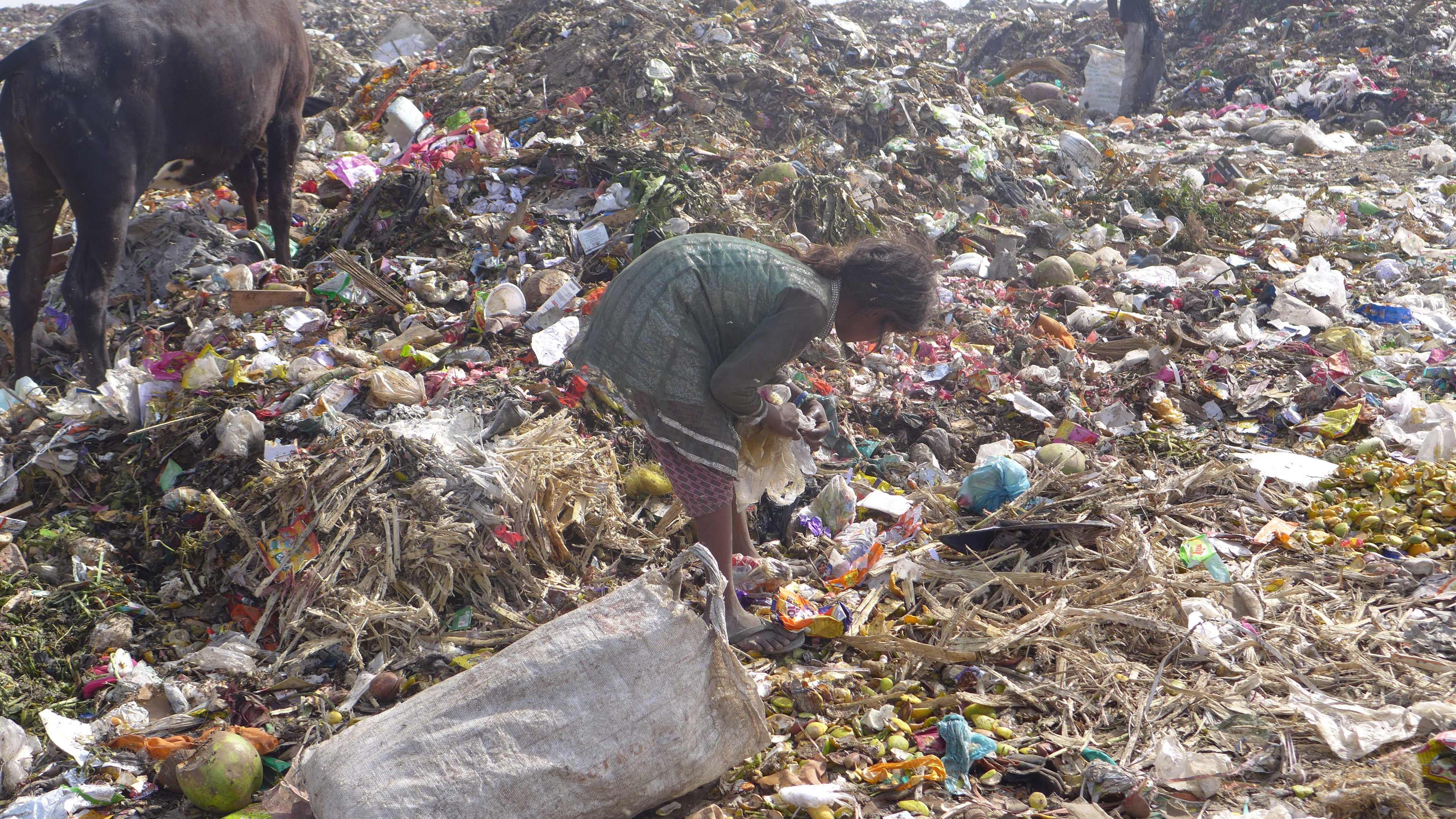 Ein Mädchen und eine Kuh auf einer Müllkippe