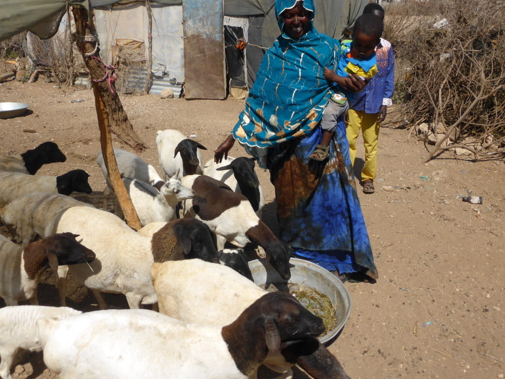 Eine Mutter mit Kind und Ziegenherde
